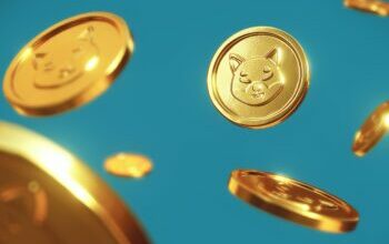 Shiba Inu meme token