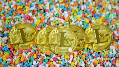 Litecoin Whale-Transaktionen setzen neues 2023-Hoch, bullisches Signal?