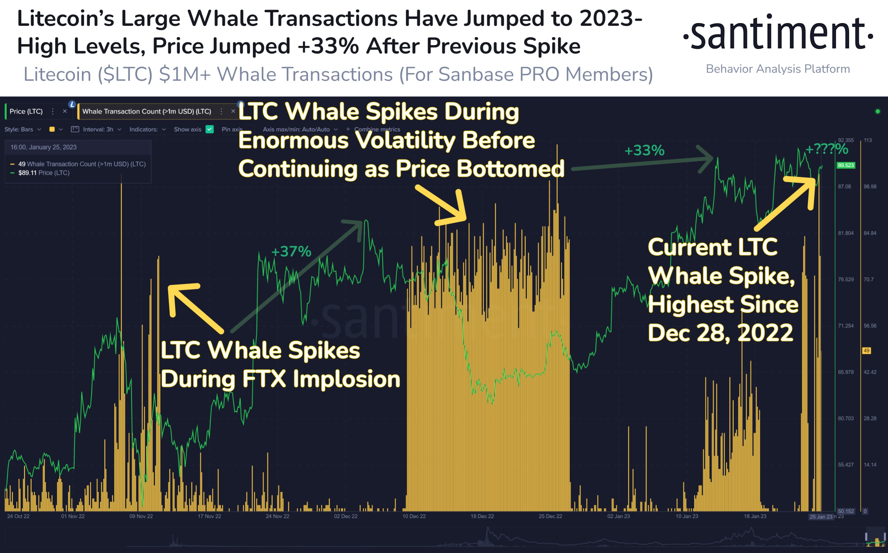 Litecoin Whale-Transaktionen