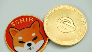 Shiba Inu Coin
