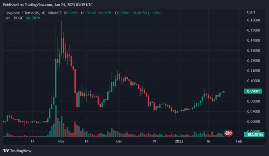Wale sacken 500 Millionen Dogecoin ein, wird sich DOGE der 0,1-Dollar-Marke nähern?