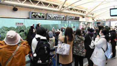 Japaner verabschieden sich von 3 weiteren Pandas, die nach China zurückkehren