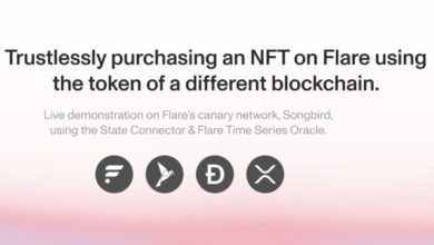 Vertrauensloser Kauf eines NFT auf Flare mit dem Token einer anderen Blockchain.