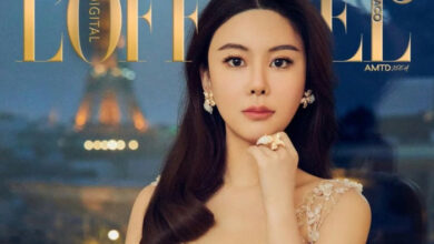 Hongkonger Model im Geldstreit „geschlachtet“