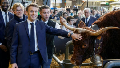 Macron plant China-Besuch Anfang April