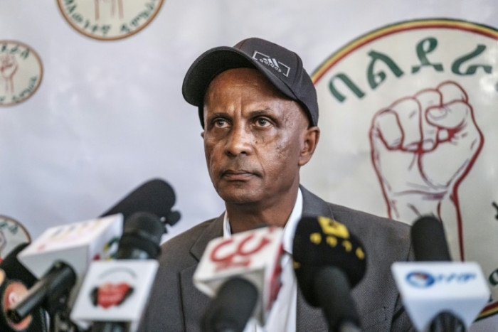Äthiopischer Dissident Eskinder Nega festgenommen: politische Partei