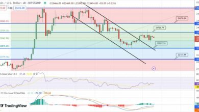 Bitcoin kämpft darum, den Widerstand bei 23.650 $ zu durchbrechen, und steht vor einem möglichen Rückgang, wenn die Unterstützung versagt