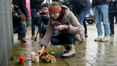 Massentötungen erschüttern Deutschland