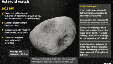 „Kein Grund zur Sorge“: Die Wahrscheinlichkeit sinkt, dass ein neu gefundener Asteroid die Erde treffen wird