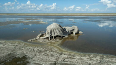 Dürre, Überschwemmungen und Krankheiten: Wichtige Erkenntnisse aus dem Wasserbericht der UN