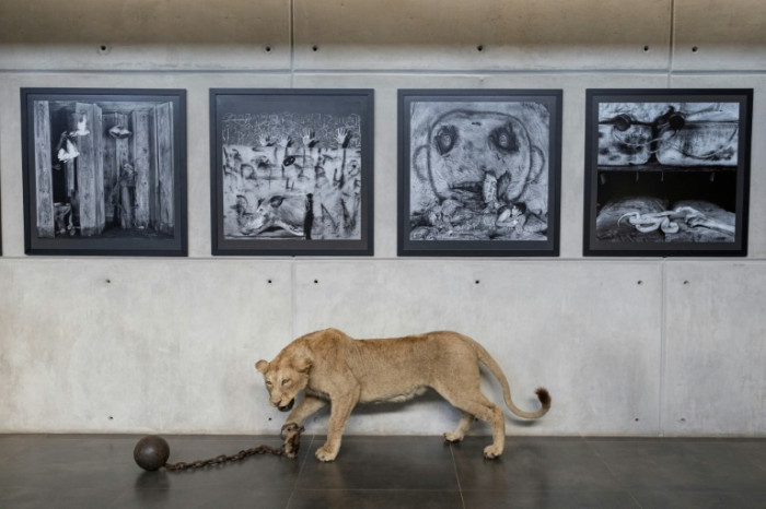Kunstausstellung beleuchtet zerstörerische Verbindungen zwischen Mensch und Natur