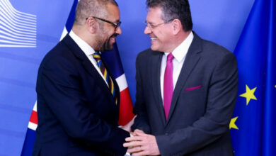 Neues Handelsabkommen mit Nordirland genehmigt