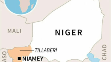 Die nigerianische Armee jagt „Terroristen“ in Mali