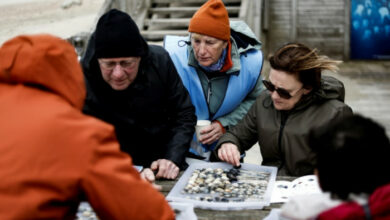 Muscheluntersuchung in der Nordsee bringt Freiwillige hervor