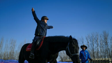 Pekinger Kinder mit Autismus bekommen Hilfe von Pferden