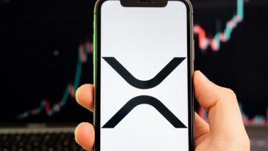 Der XRP-Preis steigt um 10 % und erreicht ein 5-Monats-Hoch von über 0,50 $