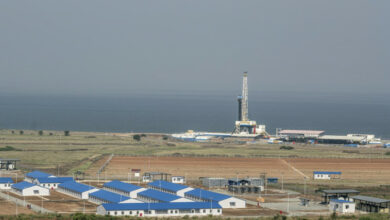 Ölrausch bedroht afrikanische Köstlichkeiten