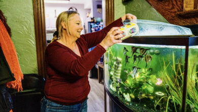 Auch hilflose Fische brauchen Helden