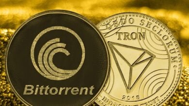 Laut Justin Sun untersuchen TRON und BitTorrent zkEVM