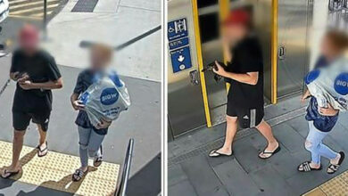 Australische Polizei sucht Paar mit Schnabeltier im Zug gesehen