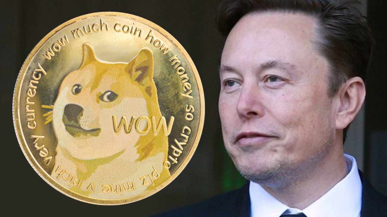 Elon Musk bittet den Richter, die Dogecoin-Klage abzuweisen, in der behauptet wird, er habe ein Pyramidensystem betrieben, um DOGE zu fördern
