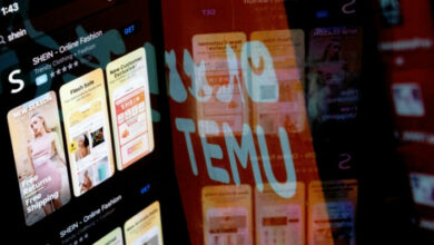 Die chinesische Shopping-App Temu begeistert die USA inmitten von TikTok-Befürchtungen