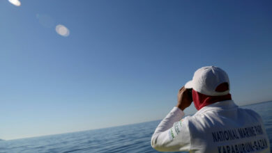 Albanien schiebt Boot aus, um die seltenste Robbe der Welt zu retten