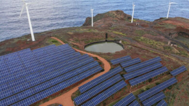 Sonne und Wind machen rekordverdächtige 12 % der Weltenergie aus