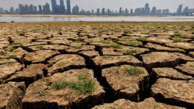 Klimawandel: Chinesische Wissenschaftler sagen, dass „Blitzdürren“ zur neuen Normalität werden