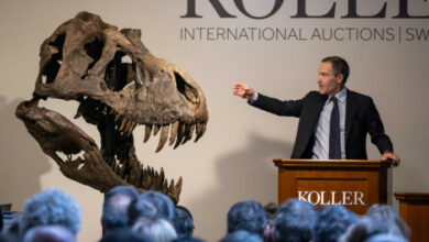 Trinity, der T-Rex, hat mehr als 6 Millionen Dollar eingenommen