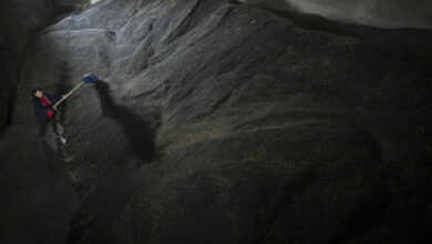 Ost-EU-Landwirte empören sich über den Getreidezufluss aus der Ukraine