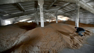 Ukrainische Bauern sind besorgt, als Verbündete die Exportroute abwürgen