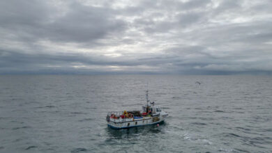 Rennen gegen die Fluten des Brexit