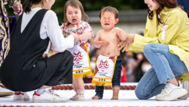 Japans „Crying Baby Sumo“-Festival kehrt nach der Pandemie zurück