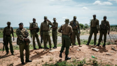 Die Polizei, die gegen eine kenianische Sekte ermittelt, findet 26 weitere Leichen
