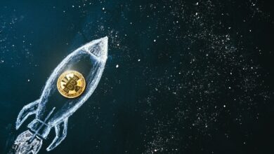 Bitcoin-Preis, Volatilität und Gewinne sind alle auf dem höchsten Stand seit Juni 2022