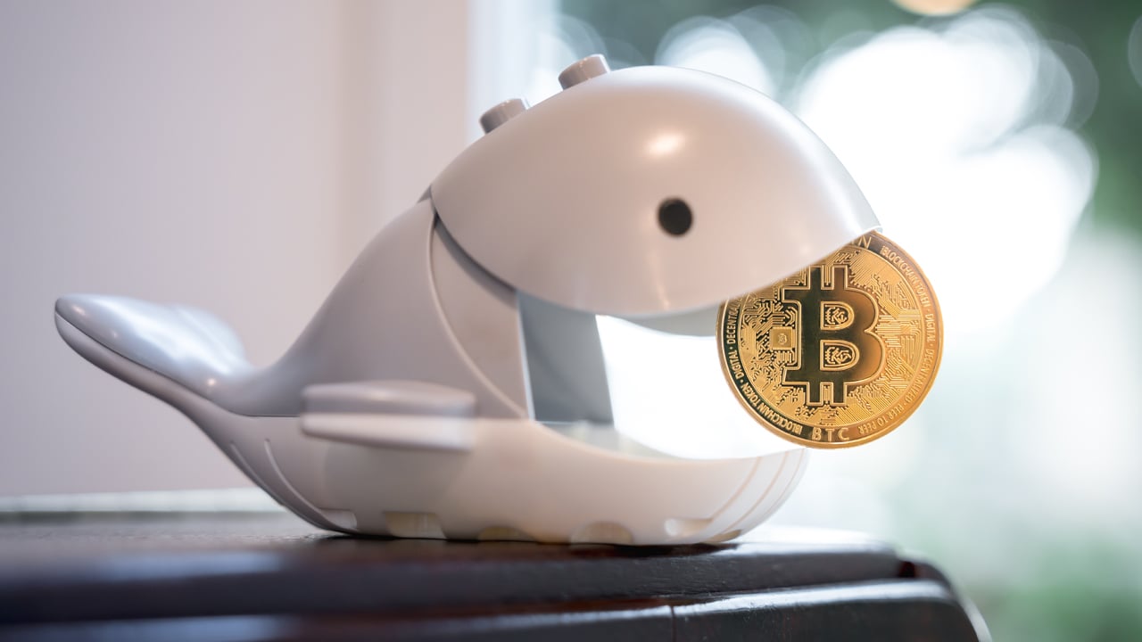 Bitcoin Whale überträgt ruhende Münzen im Wert von 13 Millionen Dollar aus den Jahren 2012 und 2013