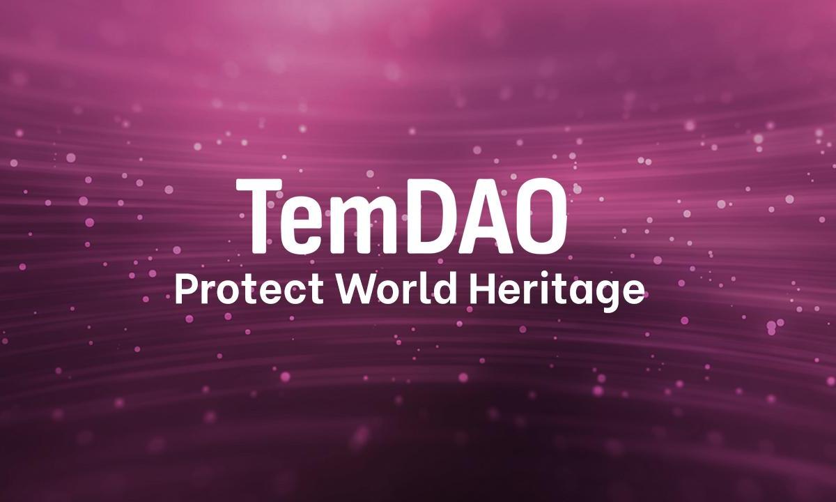 Das TemDAO-Welterbeprojekt hilft dem Kultursektor durch Spenden aus demokratischer Sicht
