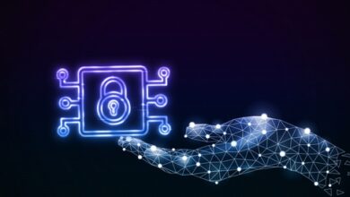 Das Testnetz von Venom soll nächste Woche live gehen und ein robustes dApp-Ökosystem einleiten