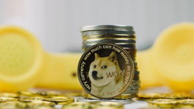 Der Dogecoin-Anstieg rollt die Jahre zurück, aber er wird nicht lange anhalten