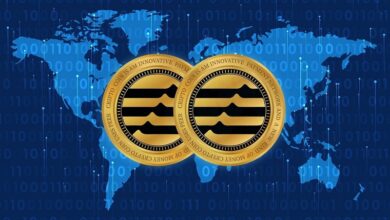 DigiToads Meteorisches Vorverkaufswachstum, das an Stepn und Aptos erinnert