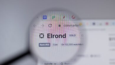 Hier ist der Grund, warum der Preis von MultiversX (EGLD) gerade in die Höhe geschossen ist