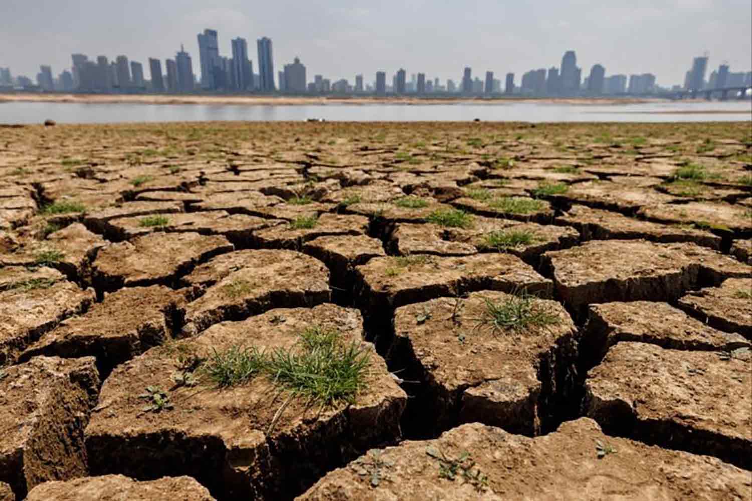 Im Sommer 2022 wurde China von der schwersten Dürre und Hitzewelle seit sechs Jahrzehnten heimgesucht. (Foto: Reuters) Im Sommer 2022 wurde China von der schwersten Dürre und Hitzewelle seit sechs Jahrzehnten heimgesucht. (Foto: Reuters)