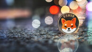 Shiba Inu-Preisvorhersage, während Dogecoin vertikal geht