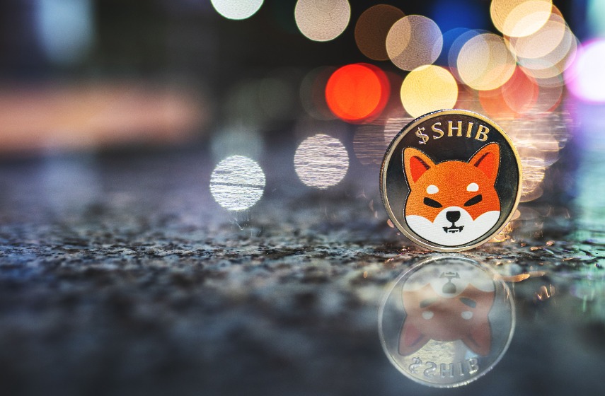 Shiba Inu-Preisvorhersage, während Dogecoin vertikal geht