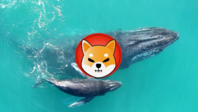 Shiba-Inu-Wale laden Milliarden inmitten des SHIB-Preisrückgangs ab