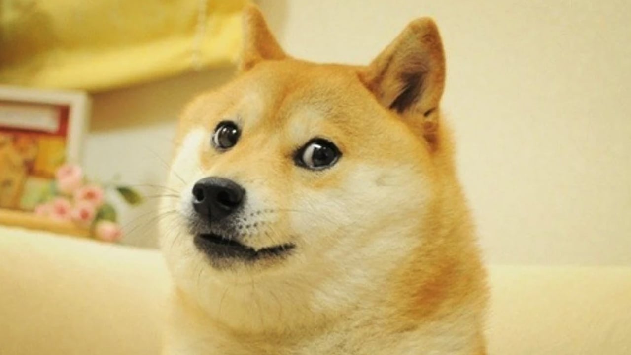 Twitter ändert das Vogel-Logo in ein Bild von Doge, Dogecoin-Preis steigt nach der Änderung um 20 %