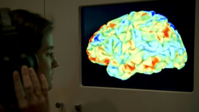Wissenschaftler verwenden Gehirnscans und KI, um Gedanken zu „entschlüsseln“.