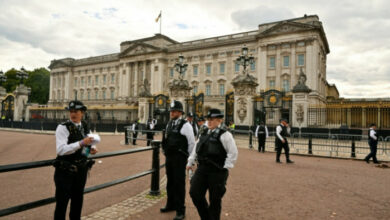 Die Polizei nimmt einen Mann fest, nachdem „Schrotflintenpatronen“ in den Buckingham Palace geworfen wurden