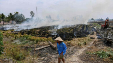 Vietnam postet Rekordtemperatur: Beamte